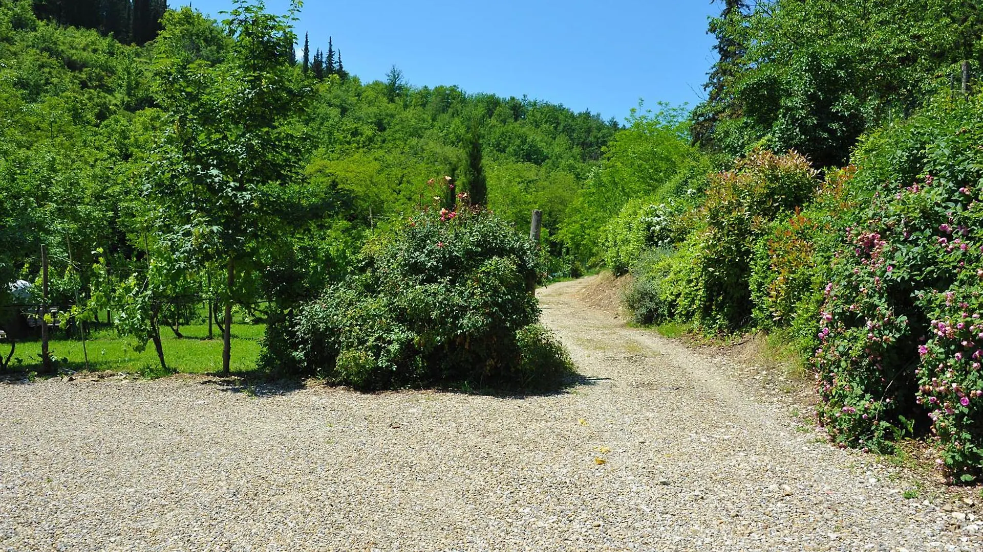 Antico Pastificio Aparthotel Greve in Chianti Italy