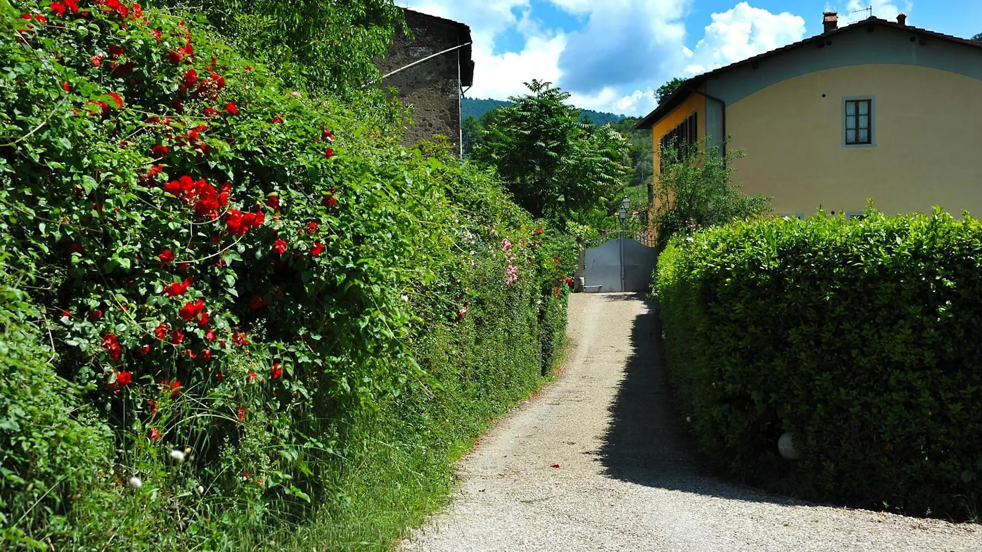 Antico Pastificio Aparthotel Greve in Chianti